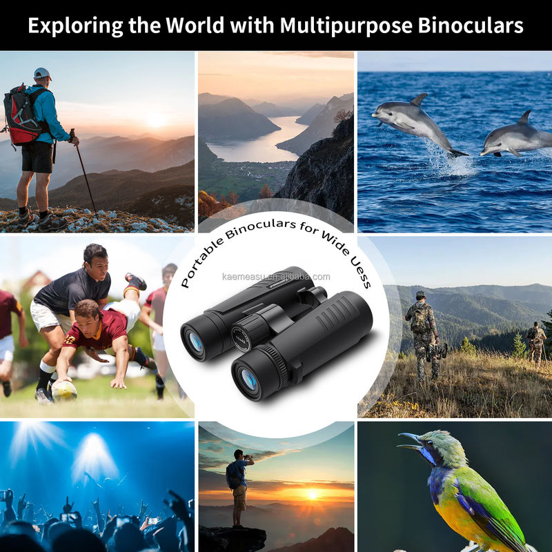 D Teleskop Binocular Instrumenty badawcze w zakresie cieplnym Scope Barcode Scanner Laser Rangefinder Binoculars Long Range